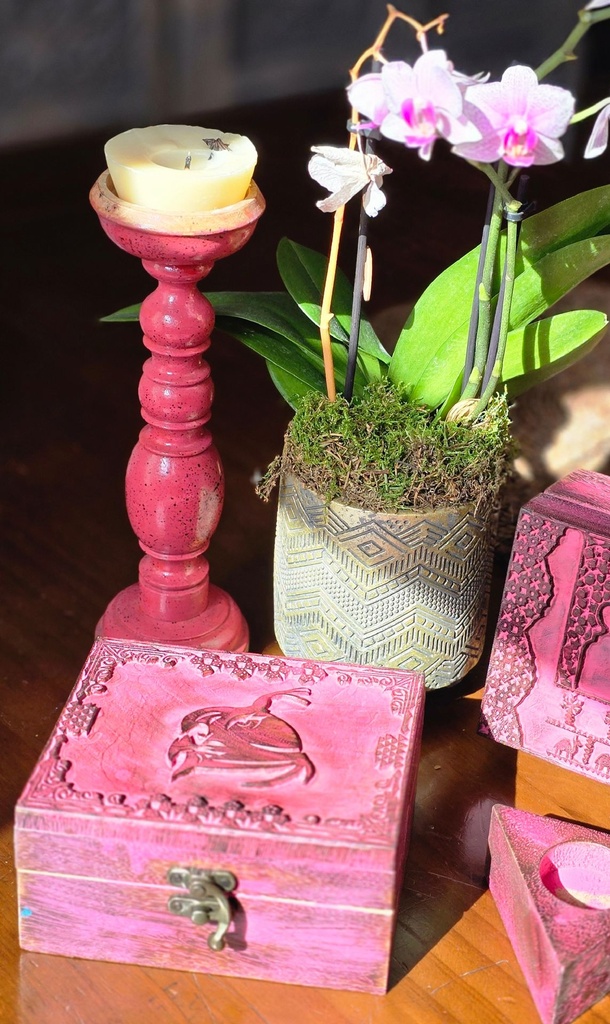 falcon pink1.JPG