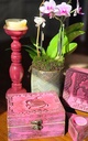 falcon pink.JPG