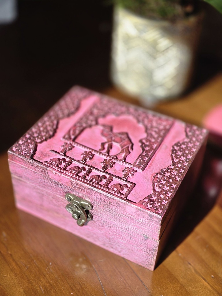 camel pink2.jpg