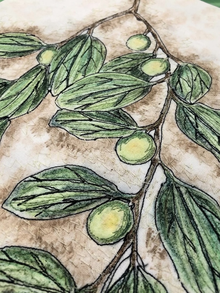 Plants of the Quran -Sidr