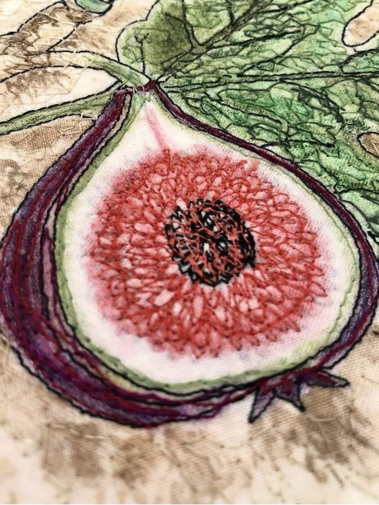 Plants of the Quran - Tin