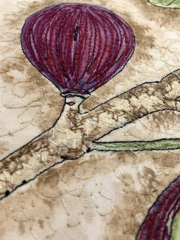 Plants of the Quran - Tin