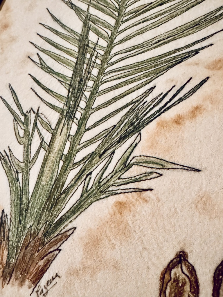 Plants of the Quran - Nakhl