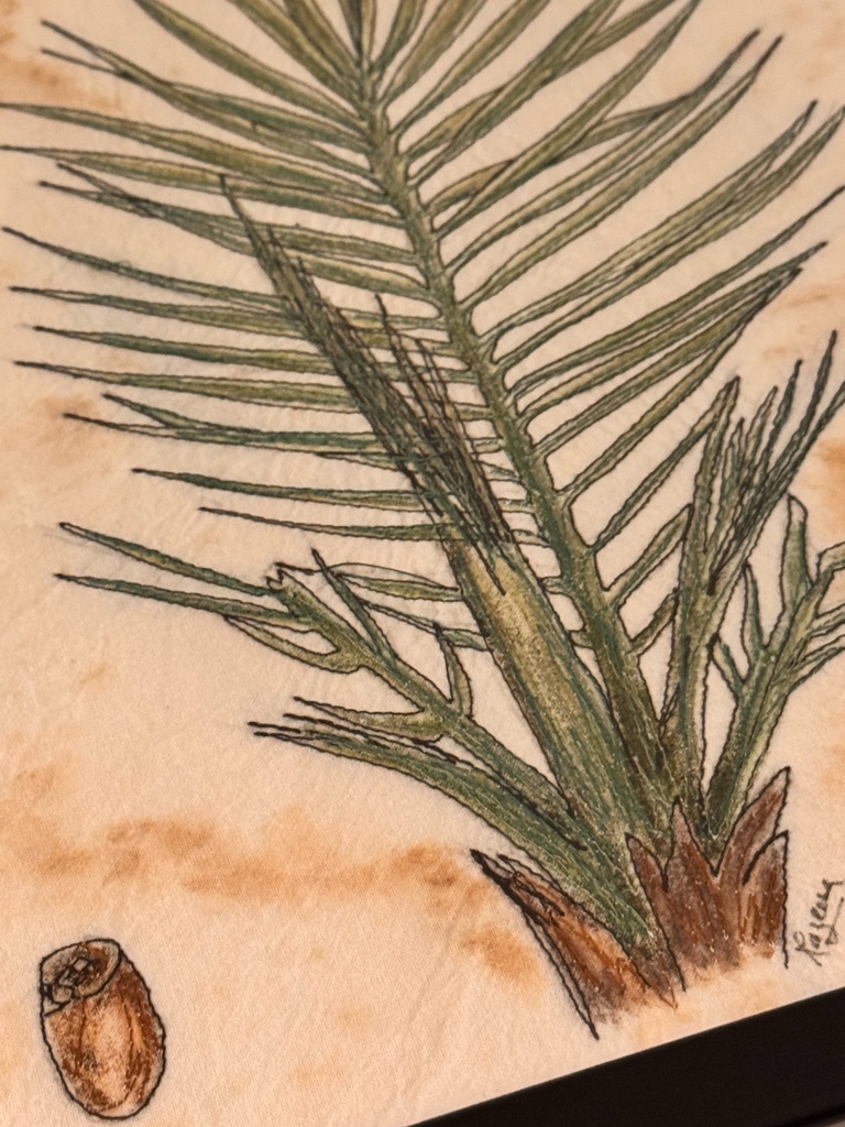 Plants of the Quran - Nakhl