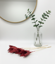 Palm Lily-Red