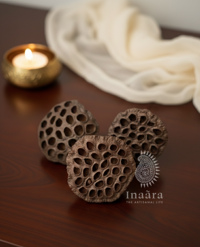 Natural Lotus Pod