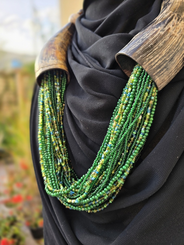 Central Indian Horn Necklace - Green