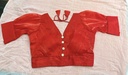 Eka Saree Blouse - Neon Red