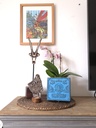 Fijiri Handcarved Box by Studio Inaara-Blue