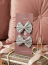 Pigtail Hair Bows- Silver