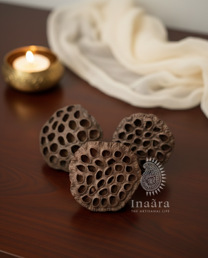 Natural Lotus Pod