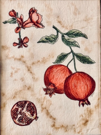 Plants of the Quran - Rumaan