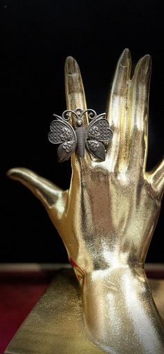 Silver oxide adjustable ring (copy)