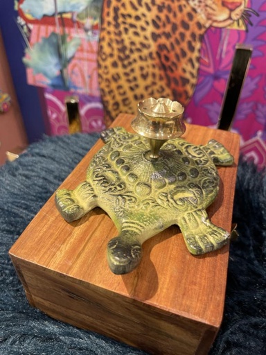 Turtle Incense Stick Burner-Light Green