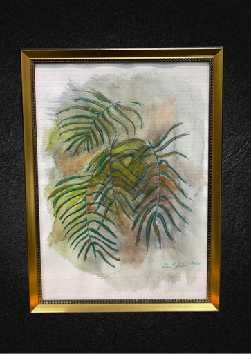 سرخس براقة (في إطار)