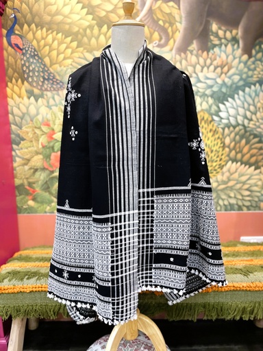 Mirror Work Bhujodi Full Shawl